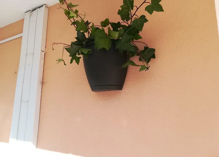 بيت ضيافة My بورتيماو